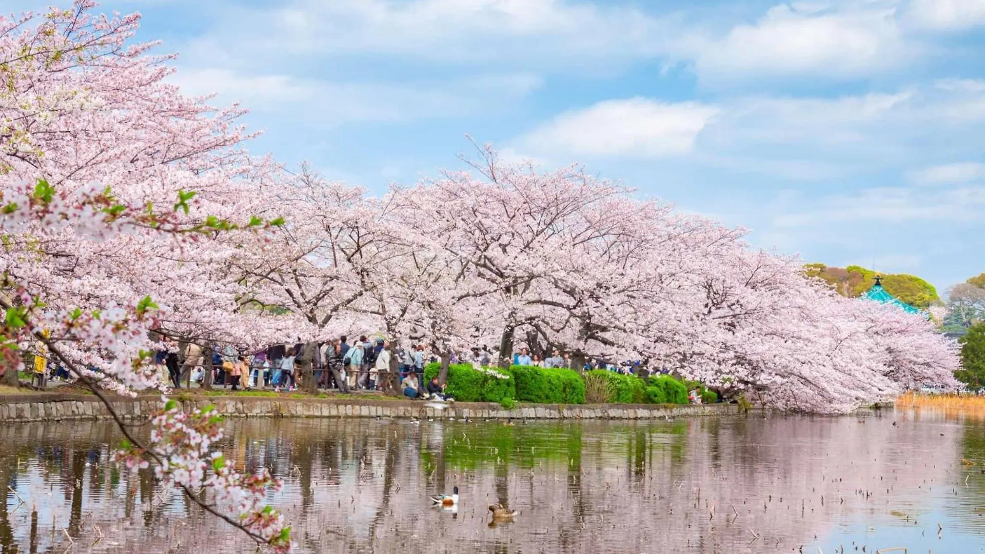 浅草圈4层独栋别墅 免费停车场 近车站 可直达机场 Prefektura Tokio